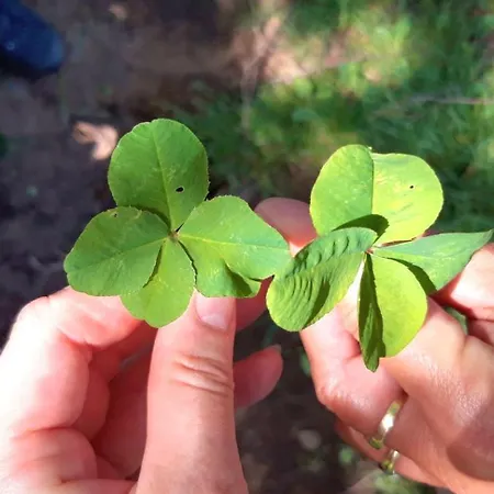 Διαμέρισμα Ferienwohnung Engels