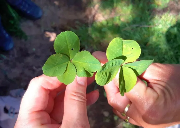 Apartamento Ferienwohnung Engels