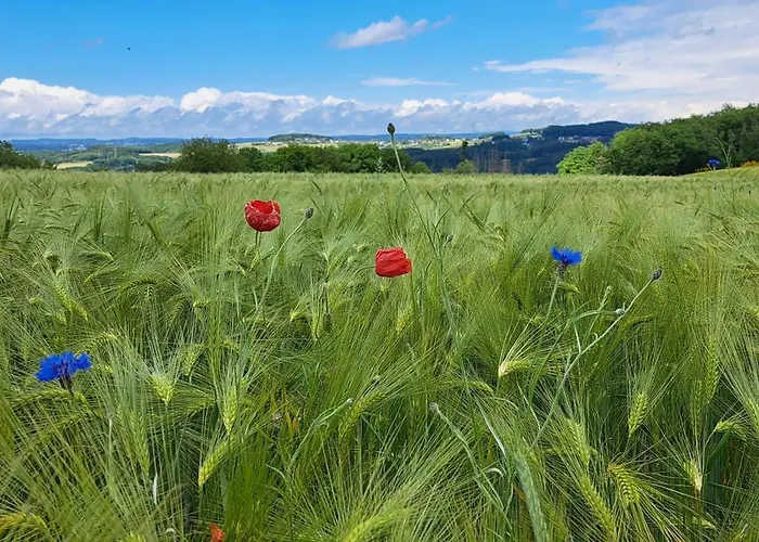 Apartamento Ferienwohnung Engels *